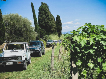 Fangoo Summer Edition, una formula vincente